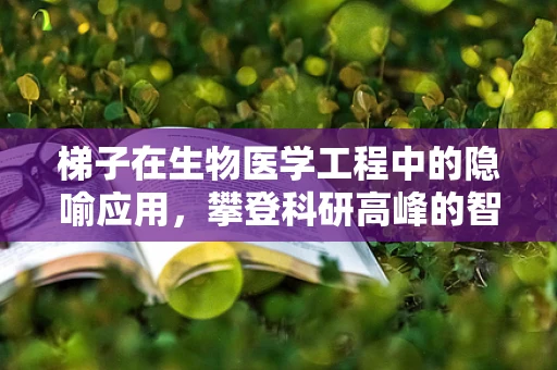 梯子在生物医学工程中的隐喻应用，攀登科研高峰的智慧工具？