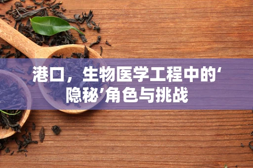 港口，生物医学工程中的‘隐秘’角色与挑战