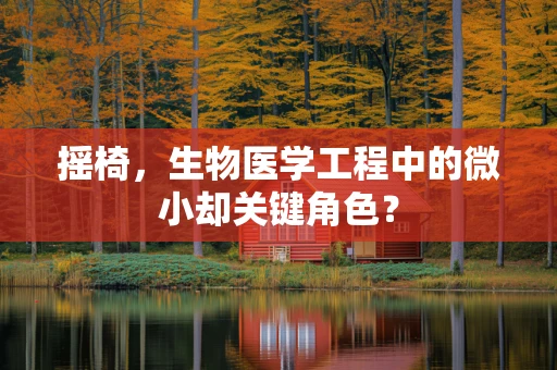 摇椅，生物医学工程中的微小却关键角色？