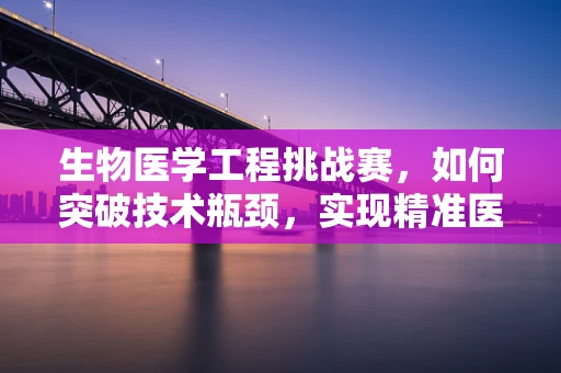 生物医学工程挑战赛，如何突破技术瓶颈，实现精准医疗？