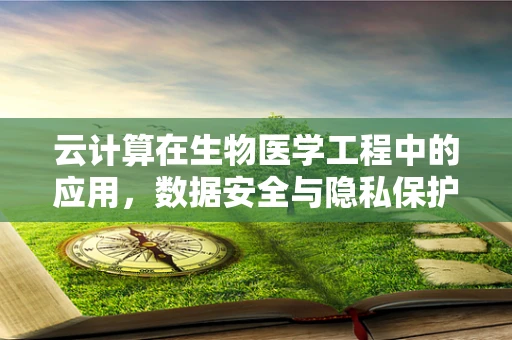 云计算在生物医学工程中的应用，数据安全与隐私保护的挑战