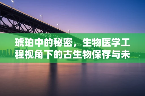 琥珀中的秘密，生物医学工程视角下的古生物保存与未来医疗启示