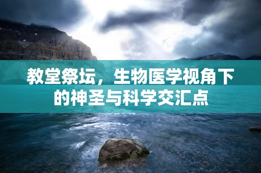 教堂祭坛，生物医学视角下的神圣与科学交汇点