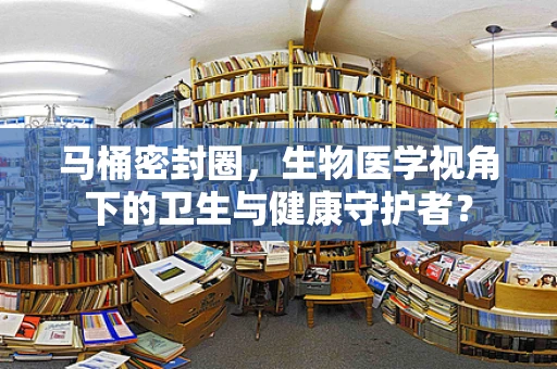 马桶密封圈，生物医学视角下的卫生与健康守护者？