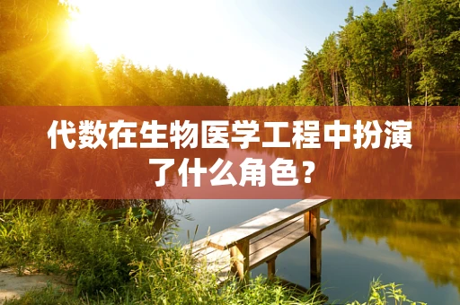 代数在生物医学工程中扮演了什么角色？