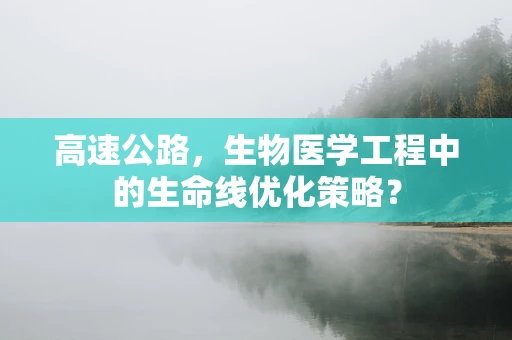 高速公路，生物医学工程中的生命线优化策略？