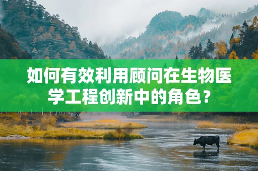 如何有效利用顾问在生物医学工程创新中的角色？