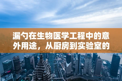 漏勺在生物医学工程中的意外用途，从厨房到实验室的奇妙转化