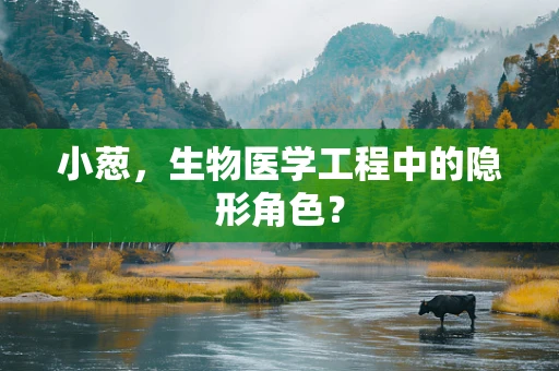 小葱，生物医学工程中的隐形角色？