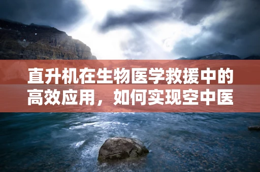 直升机在生物医学救援中的高效应用，如何实现空中医疗转运的优化？