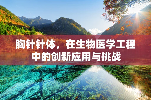 胸针针体，在生物医学工程中的创新应用与挑战