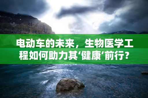 电动车的未来，生物医学工程如何助力其‘健康’前行？