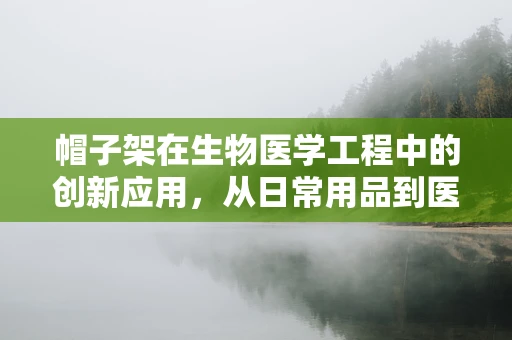 帽子架在生物医学工程中的创新应用，从日常用品到医疗辅助设备的跨界探索