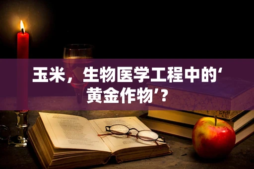 玉米，生物医学工程中的‘黄金作物’？