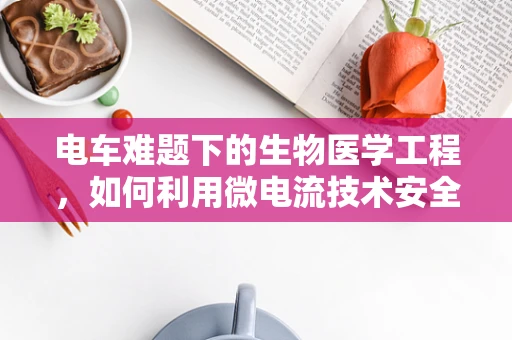 电车难题下的生物医学工程，如何利用微电流技术安全促进神经修复？