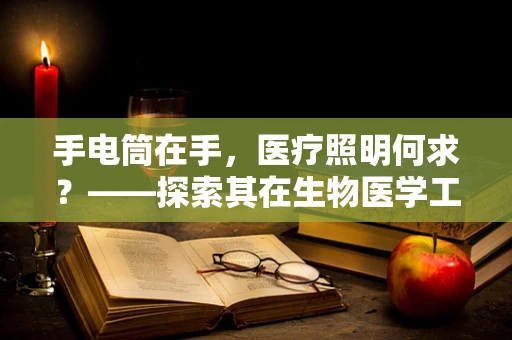 手电筒在手，医疗照明何求？——探索其在生物医学工程中的应用与挑战