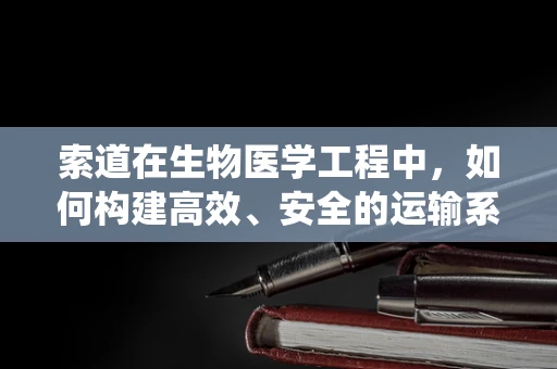 索道在生物医学工程中，如何构建高效、安全的运输系统？