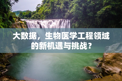 大数据，生物医学工程领域的新机遇与挑战？