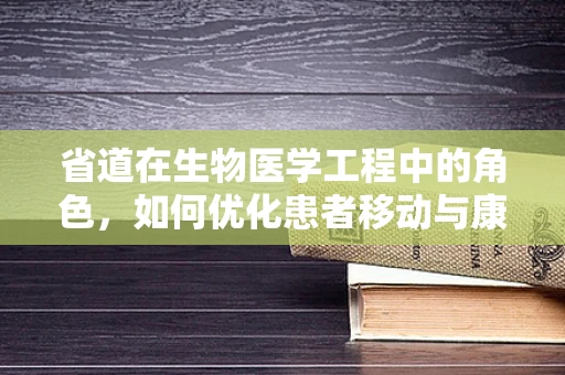 省道在生物医学工程中的角色，如何优化患者移动与康复的‘生命通道’？