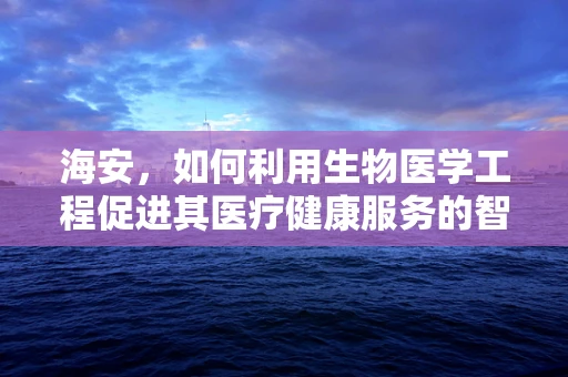 海安，如何利用生物医学工程促进其医疗健康服务的智能化升级？