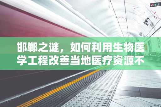 邯郸之谜，如何利用生物医学工程改善当地医疗资源不均？