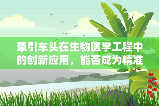 牵引车头在生物医学工程中的创新应用，能否成为精准医疗的新引擎？