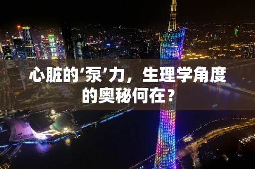 心脏的‘泵’力，生理学角度的奥秘何在？