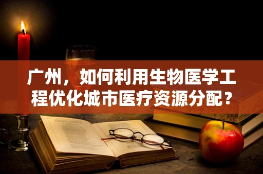 广州，如何利用生物医学工程优化城市医疗资源分配？