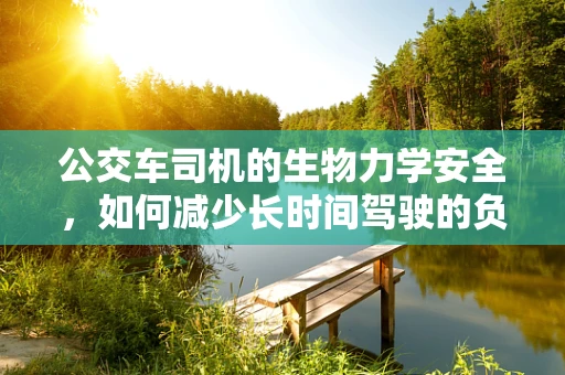 公交车司机的生物力学安全，如何减少长时间驾驶的负面影响？