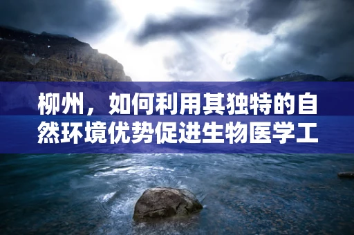 柳州，如何利用其独特的自然环境优势促进生物医学工程创新？