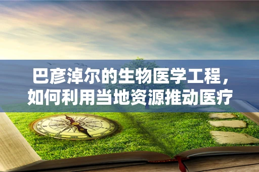 巴彦淖尔的生物医学工程，如何利用当地资源推动医疗创新？