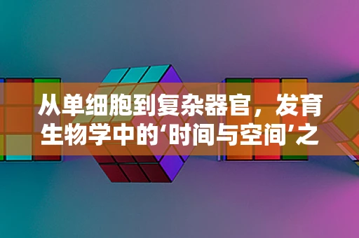 从单细胞到复杂器官，发育生物学中的‘时间与空间’之谜