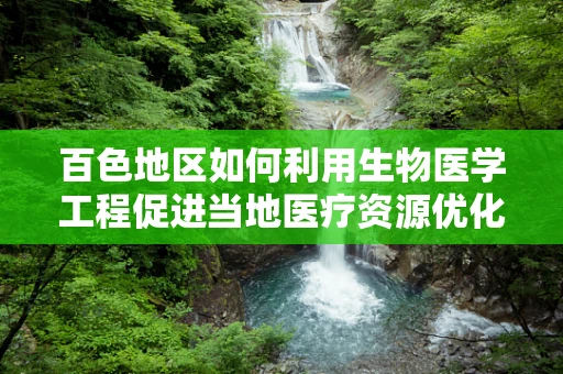 百色地区如何利用生物医学工程促进当地医疗资源优化？