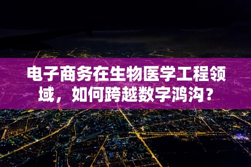 电子商务在生物医学工程领域，如何跨越数字鸿沟？