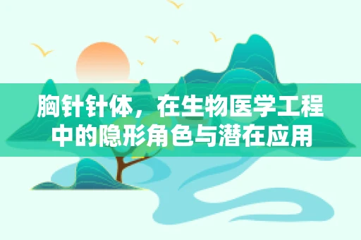 胸针针体，在生物医学工程中的隐形角色与潜在应用