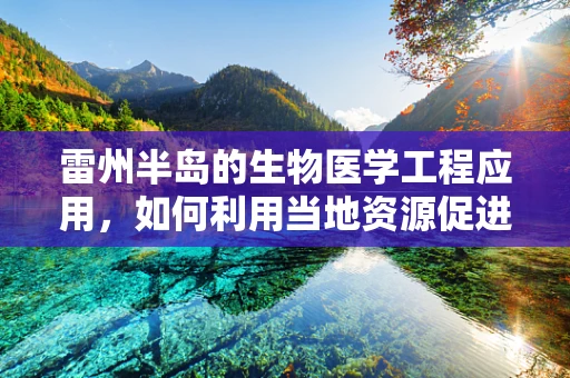 雷州半岛的生物医学工程应用，如何利用当地资源促进健康科技发展？