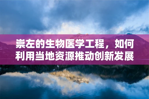 崇左的生物医学工程，如何利用当地资源推动创新发展？