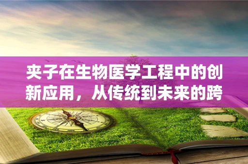 夹子在生物医学工程中的创新应用，从传统到未来的跨越