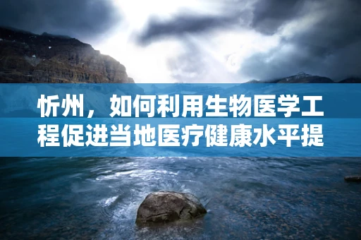 忻州，如何利用生物医学工程促进当地医疗健康水平提升？