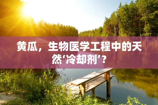 黄瓜，生物医学工程中的天然‘冷却剂’？