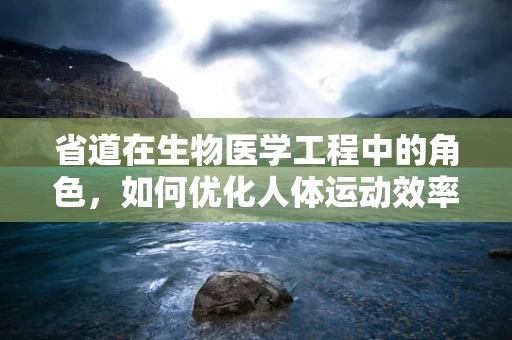 省道在生物医学工程中的角色，如何优化人体运动效率的‘高速公路’？