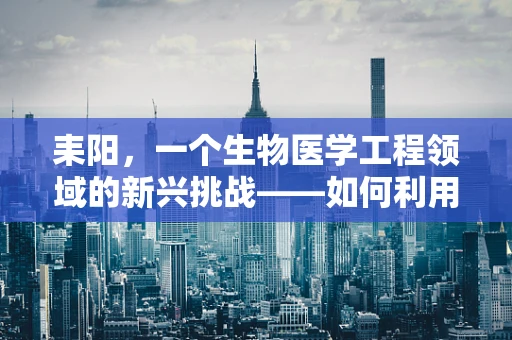 耒阳，一个生物医学工程领域的新兴挑战——如何利用当地资源优化医疗设备供应链？