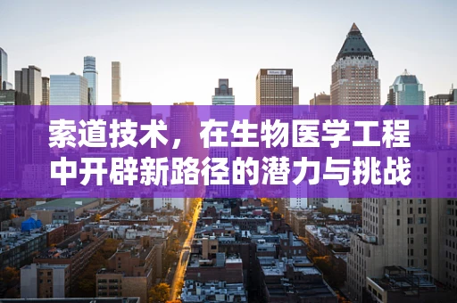 索道技术，在生物医学工程中开辟新路径的潜力与挑战？