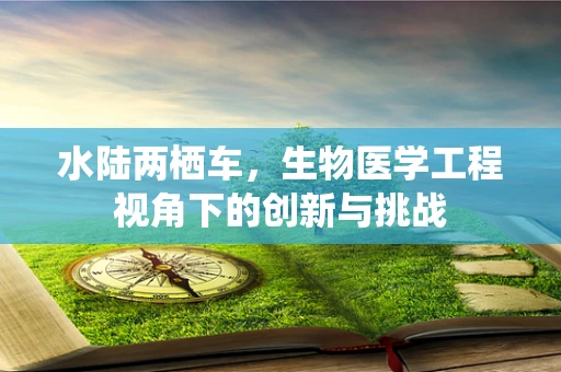 水陆两栖车，生物医学工程视角下的创新与挑战