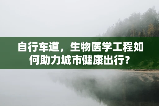 自行车道，生物医学工程如何助力城市健康出行？