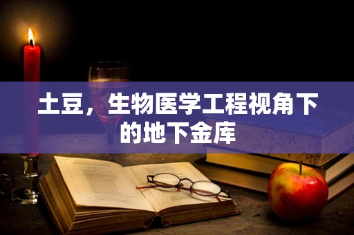 土豆，生物医学工程视角下的地下金库