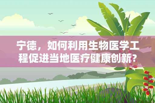 宁德，如何利用生物医学工程促进当地医疗健康创新？