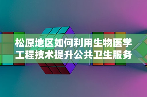 松原地区如何利用生物医学工程技术提升公共卫生服务？