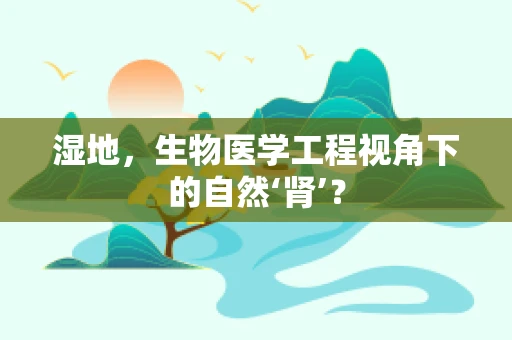 湿地，生物医学工程视角下的自然‘肾’？