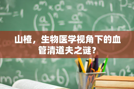 山楂，生物医学视角下的血管清道夫之谜？